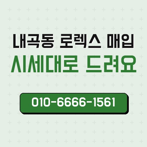 내곡동 로렉스 매입