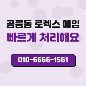 공릉동 로렉스 매입