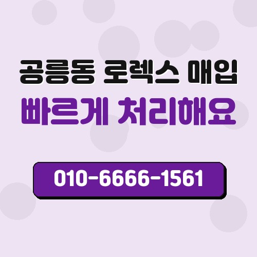 공릉동 로렉스 매입