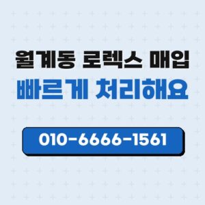 월계동 로렉스 매입
