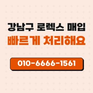 강남구 로렉스 매입